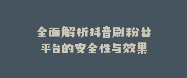 全面解析抖音刷粉丝平台的安全性与效果