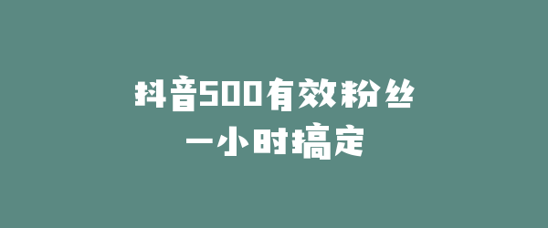 抖音500有效粉丝一小时搞定