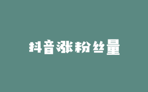 抖音涨粉丝量