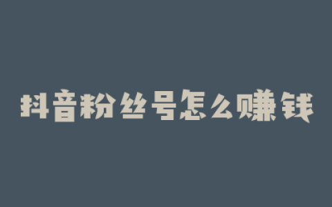 抖音粉丝号怎么赚钱