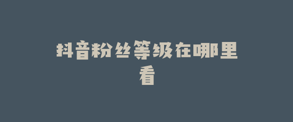 抖音粉丝等级在哪里看