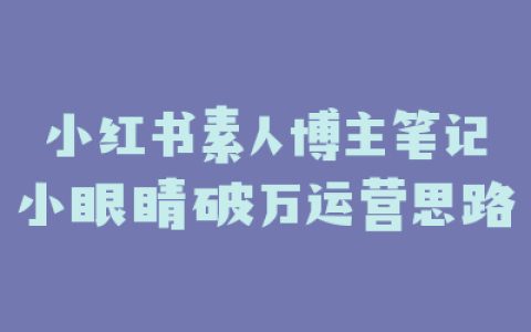小红书素人博主笔记小眼睛破万运营思路
