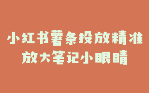 小红书薯条投放精准放大笔记小眼睛