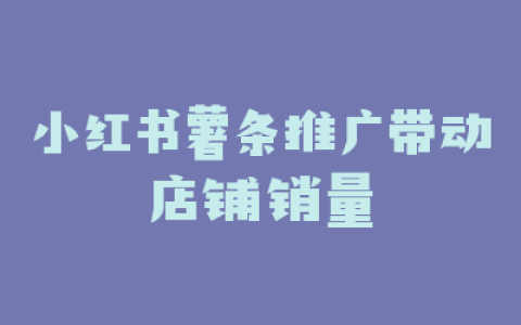 小红书薯条推广带动店铺销量