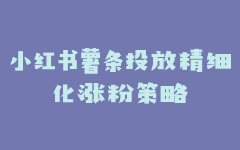 小红书薯条投放精细化涨粉策略
