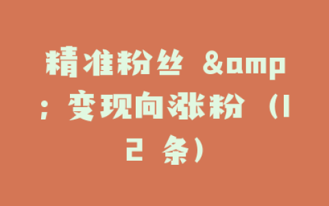 精准粉丝 & 变现向涨粉（12 条）